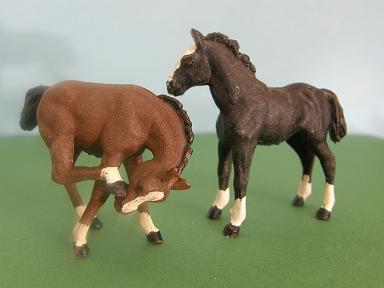 Herald Foals