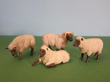 Herald Sheep